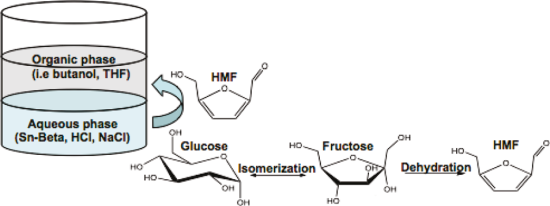 sugar catalysis image 2